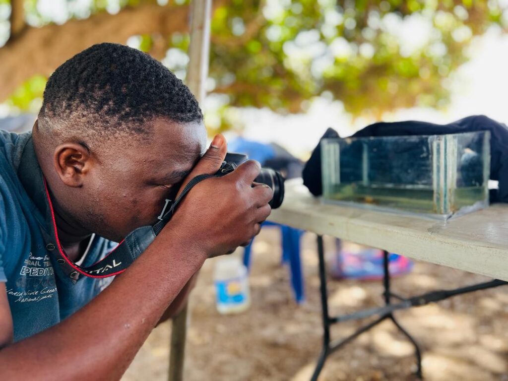 projets en guinée